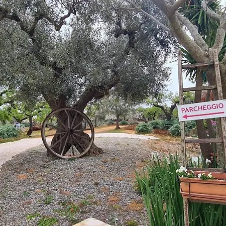 Il Trullo Di Nonna Lella Castellana Grotte