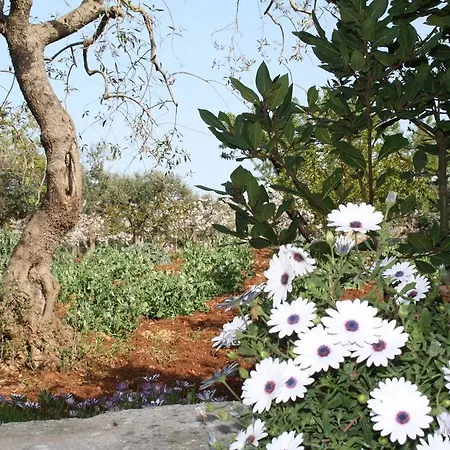 Country house Il Trullo Di Nonna Lella Castellana Grotte