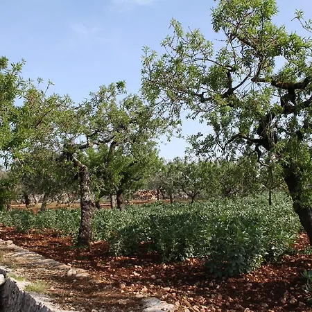 Country house Il Trullo Di Nonna Lella Castellana Grotte